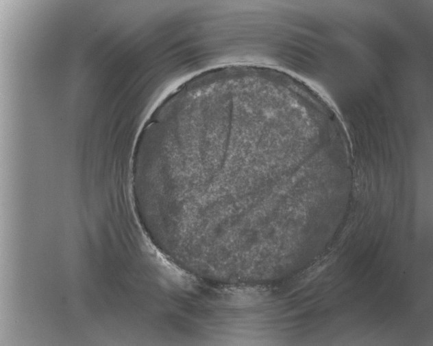 X0000080180895200612302242