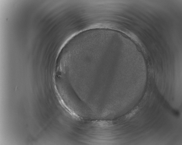 X0000080180896200612302242