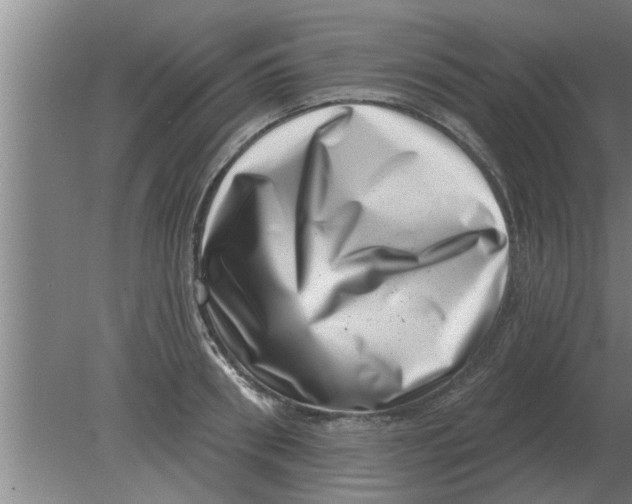 X0000080180898200612302242