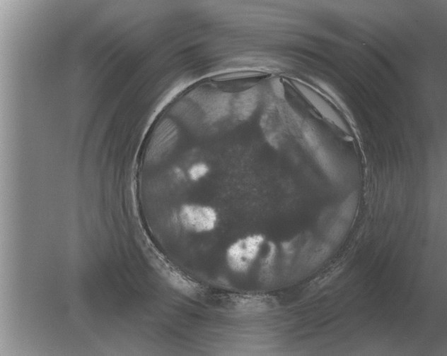 X0000080180899200612302242