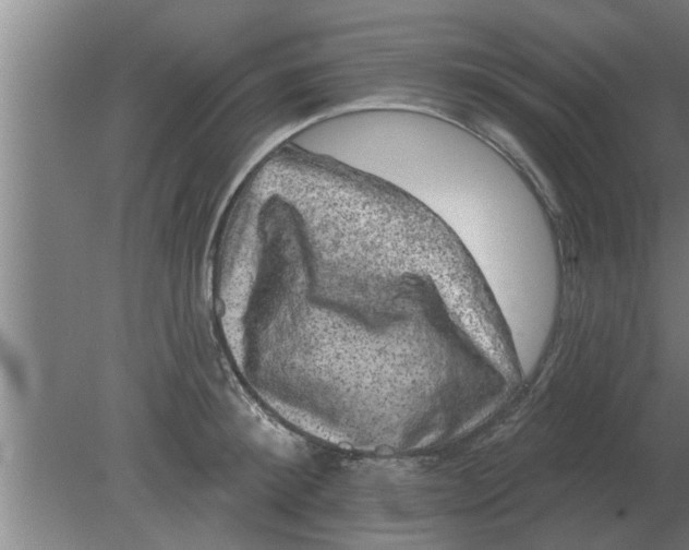 X0000080180900200612302242