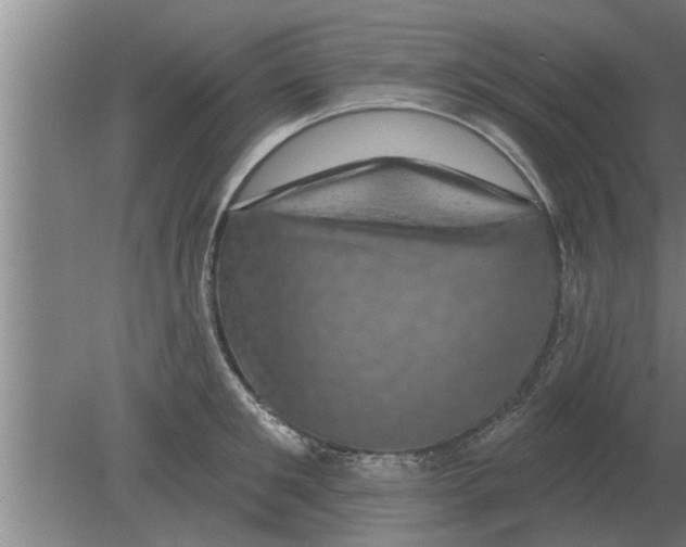 X0000080180901200612302242