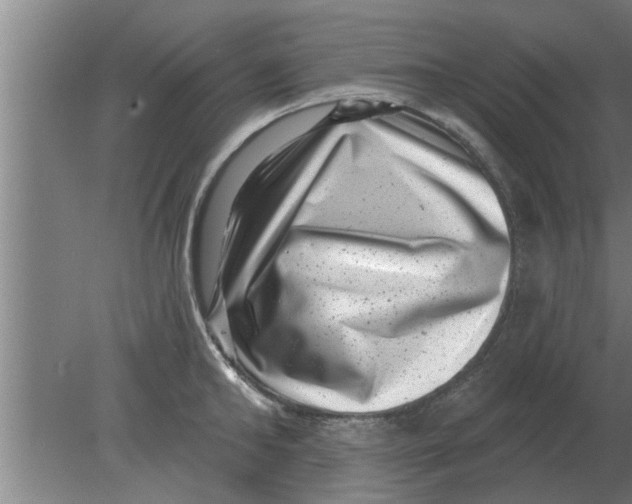 X0000080180902200612302242