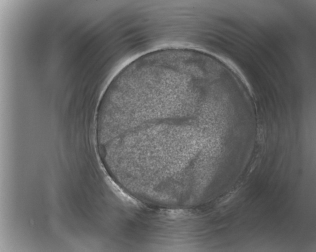 X0000080180903200612302242