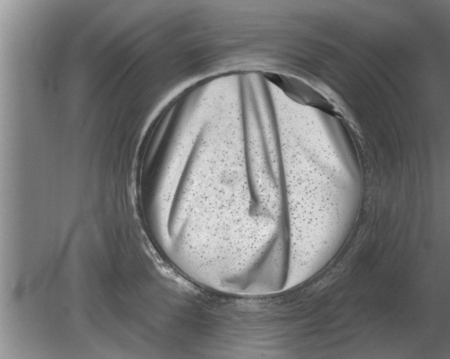 X0000080180904200612302242