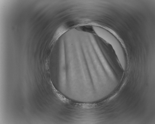 X0000080180905200612302242