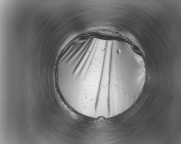 X0000080180906200612302242