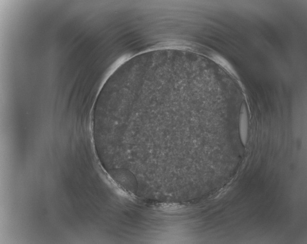 X0000080180907200612302242