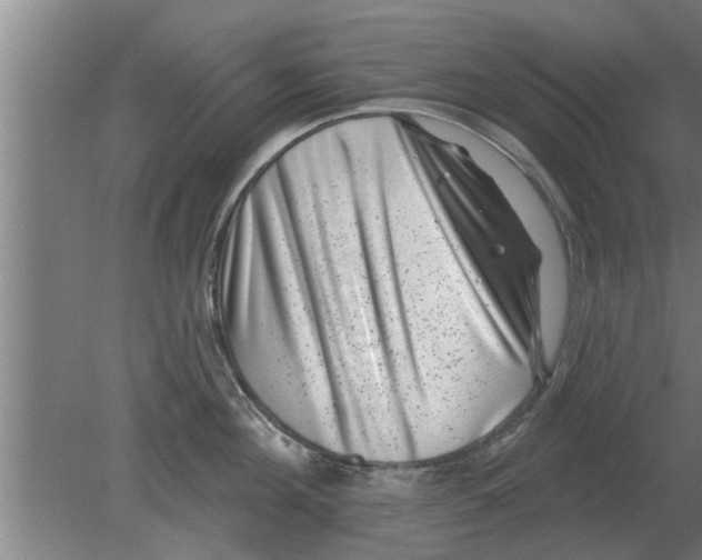 X0000080180908200612302242