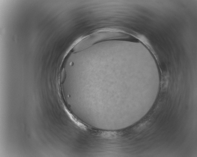 X0000080180909200612302242