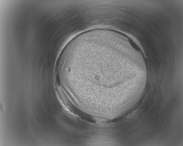 X0000080180911200612302242