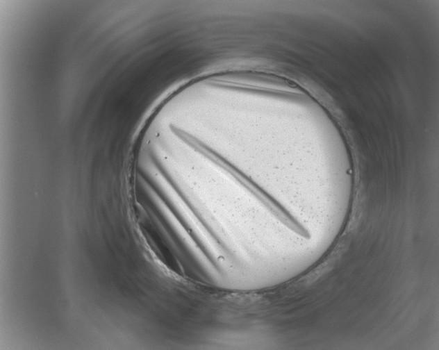 X0000080180912200612302242