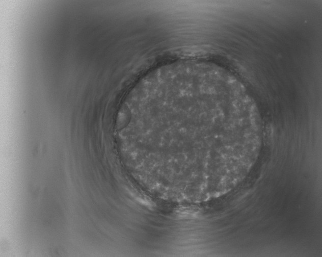 X0000080180913200612302241