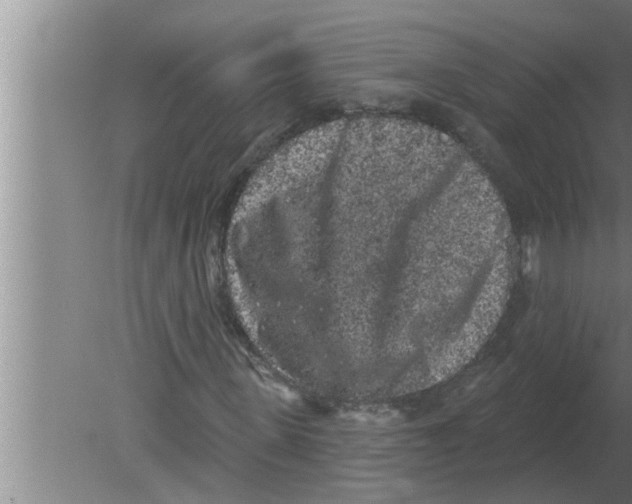 X0000080180915200612302241