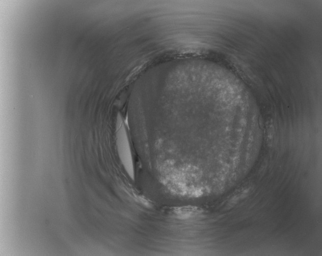 X0000080180916200612302241