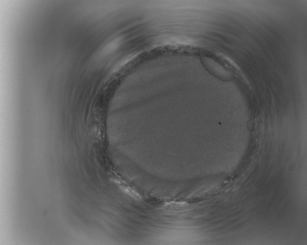 X0000080180919200612302241