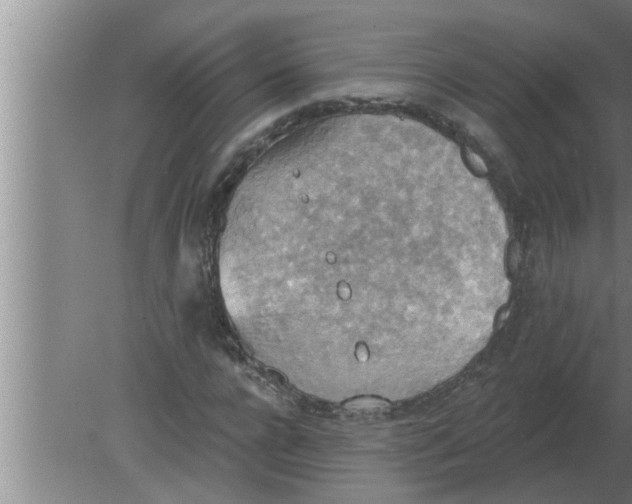 X0000080180920200612302241