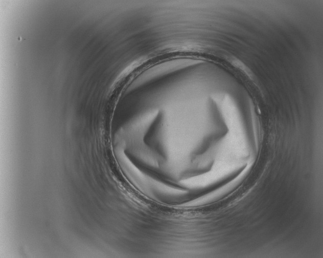 X0000080180922200612302241