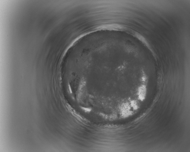 X0000080180923200612302241