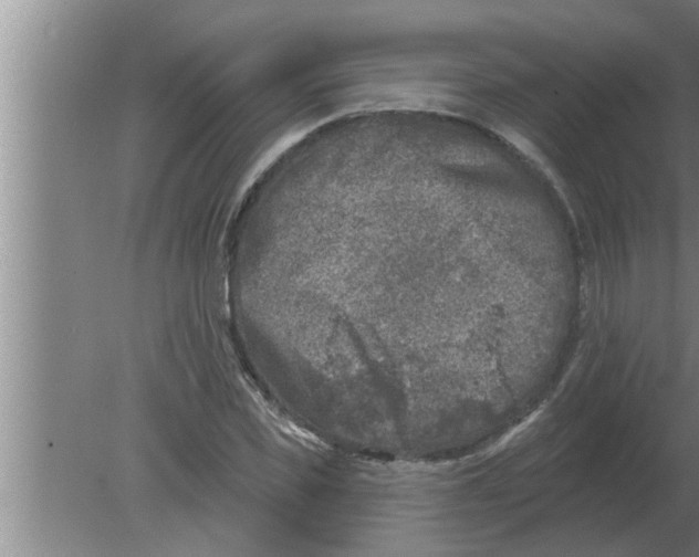 X0000080180925200612302241