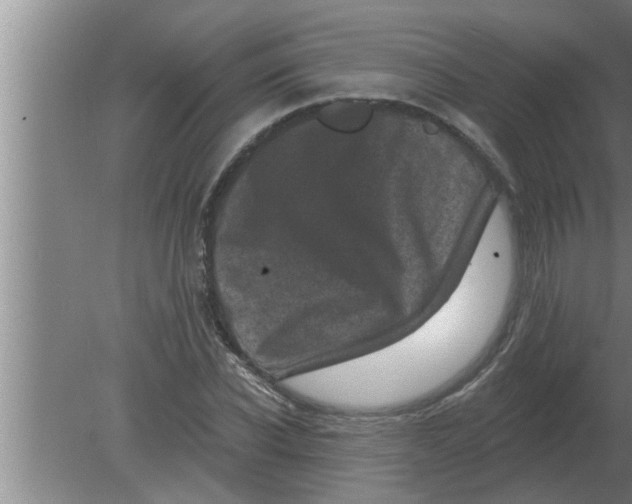 X0000080180926200612302241