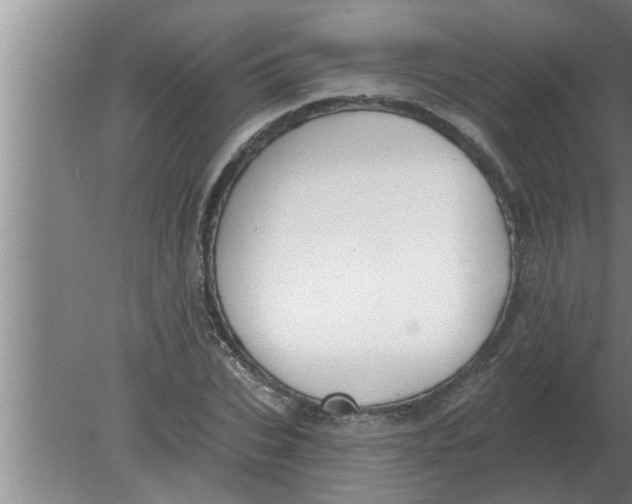 X0000080180927200612302241