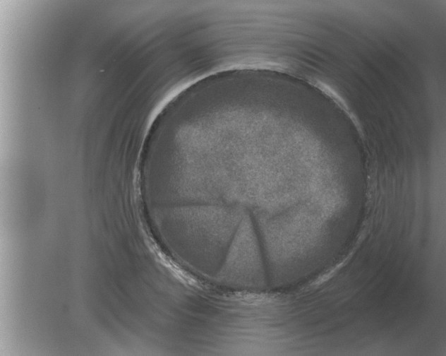 X0000080180928200612302241