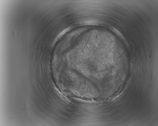 X0000080180930200612302241