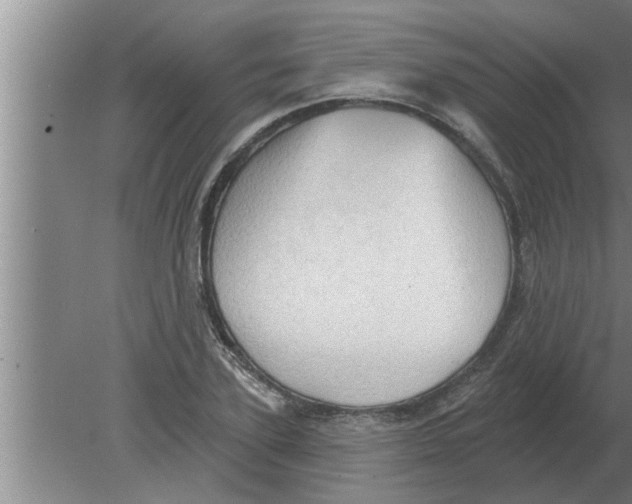 X0000080180931200612302241