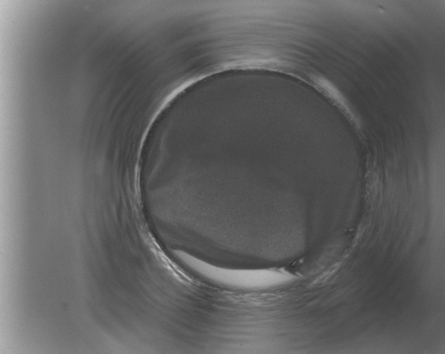 X0000080180932200612302241