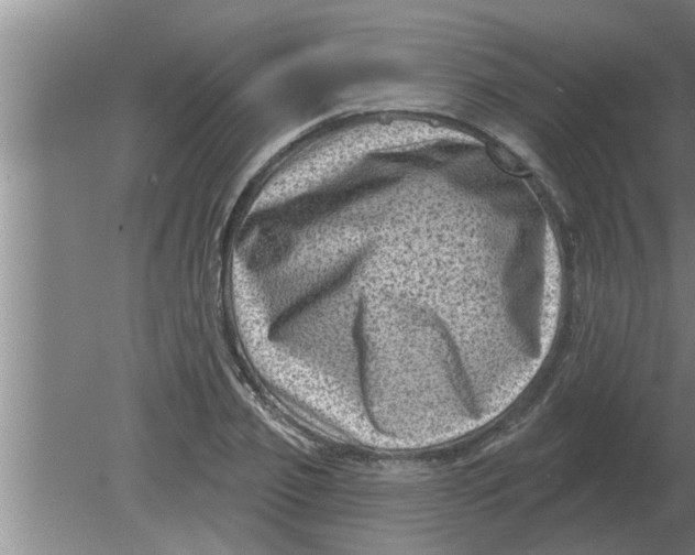 X0000080180933200612302241