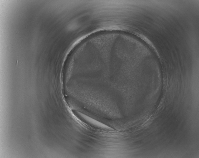 X0000080180935200612302241