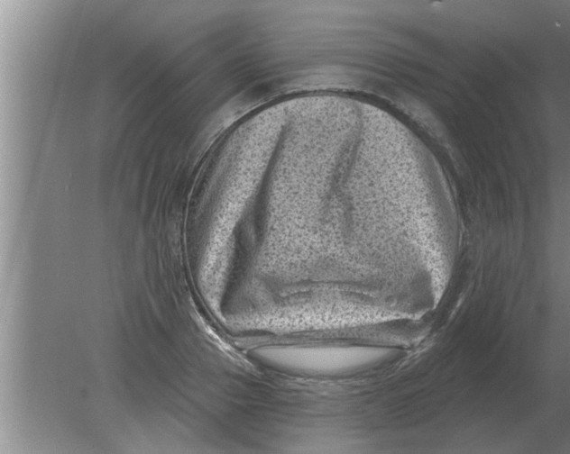 X0000080180937200612302241