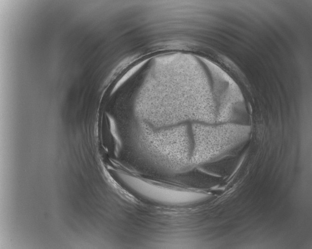 X0000080180938200612302241