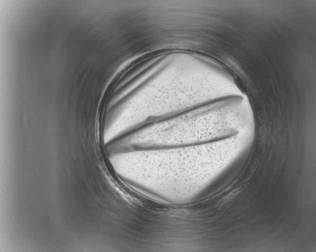 X0000080180940200612302241