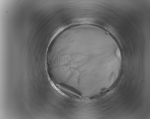 X0000080180941200612302241