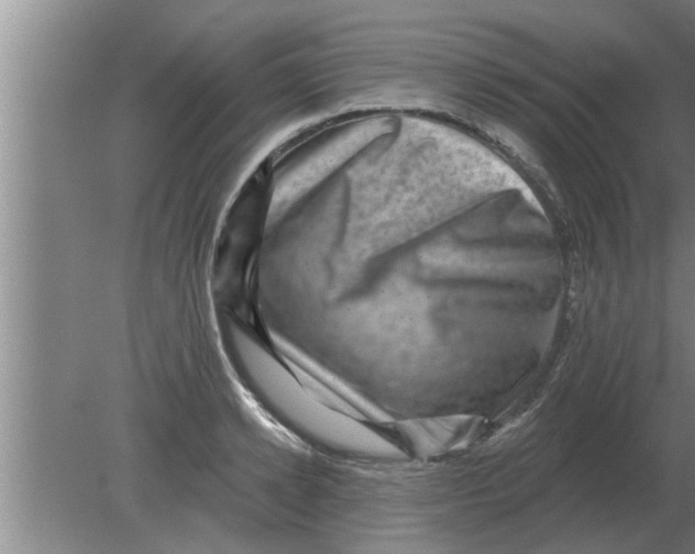 X0000080180942200612302241