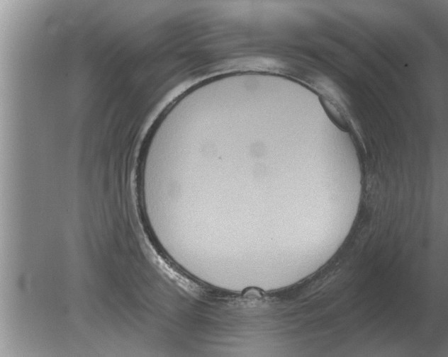 X0000080180947200612302241