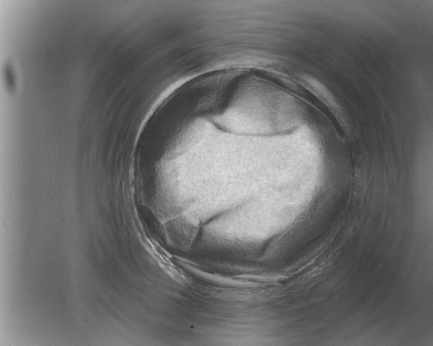 X0000080180948200612302241