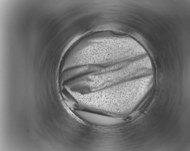 X0000080180949200612302241