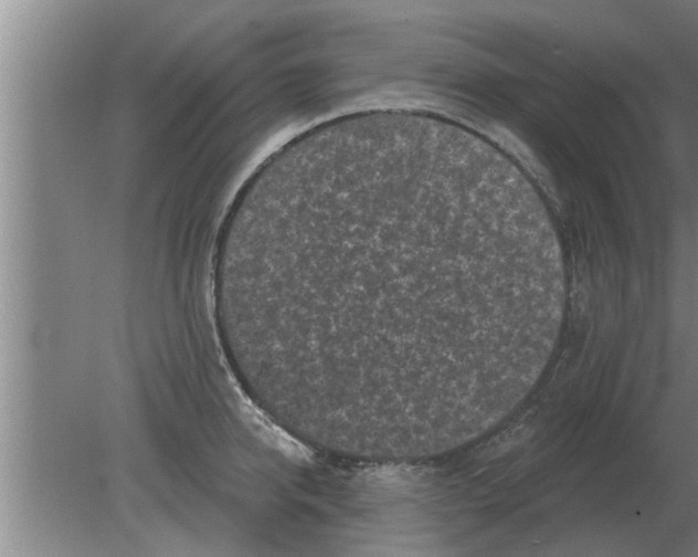 X0000080180950200612302242