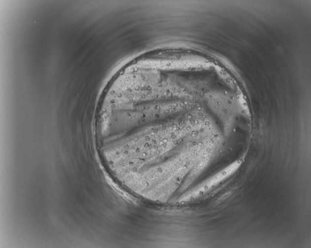 X0000080180951200612302242