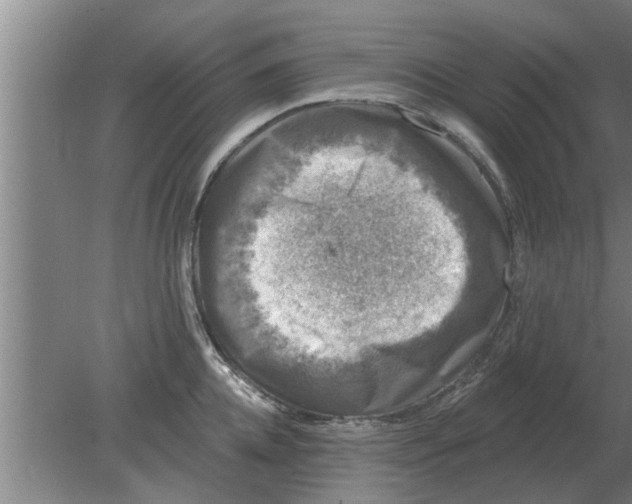 X0000080180952200612302242