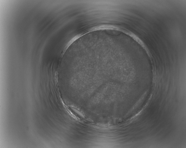 X0000080180953200612302242