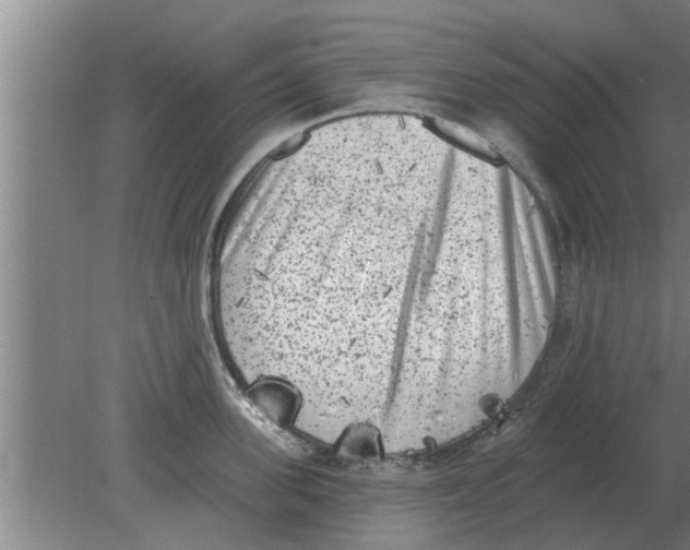 X0000080180955200612302242