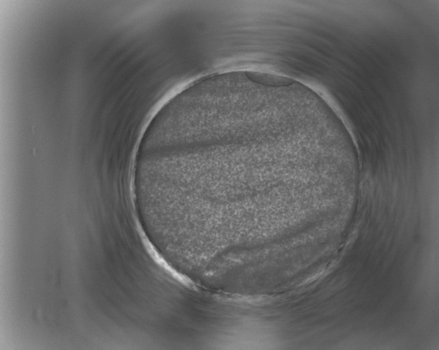 X0000080180957200612302242