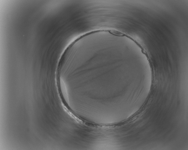 X0000080180958200612302242