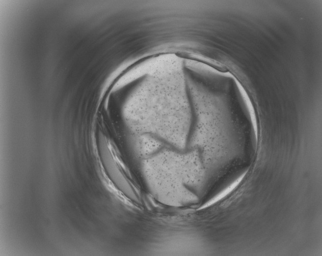 X0000080180960200612302242