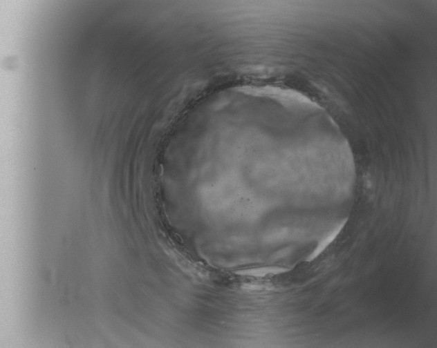 X0000080180961200612302241