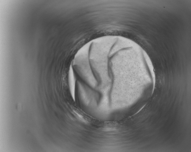 X0000080180964200612302241